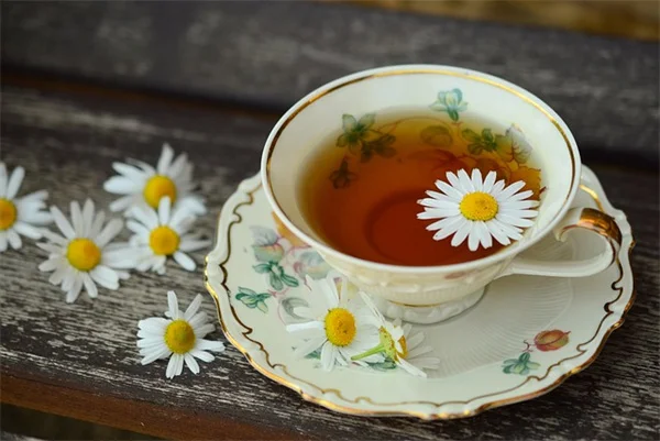 アジサイが倒れる？卵の殻とバナナの皮で茎を強くする方法